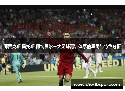 阿贾克斯 桑托斯 佩纳罗尔三大足球青训体系的异同与特色分析